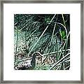 A Speckled Duck Framed Print