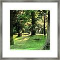 Spring Afternoon In Brookdale Park Framed Print