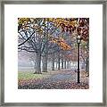 A Stroll In Salem Fog Framed Print