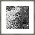 A Stroll In The Sand Framed Print