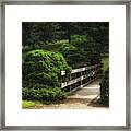 A Stroll Through The Park Framed Print