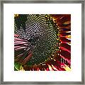 A Sunflower For The Birds Framed Print