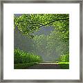 A Touch Of Green Ii Framed Print