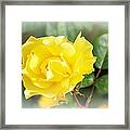 A Touch Of Sunshine Yellow Framed Print