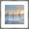A Touch Of Winter Framed Print
