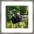 A Watchful Pair Framed Print