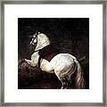 A White Horse By Diego Velazquez Framed Print