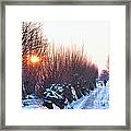 A Winter Wonderland Walk Framed Print