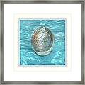 Abalone Underwater Framed Print
