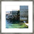 Abandoned On Cannery Row Framed Print