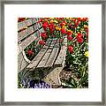 Abducted Park Bench Framed Print