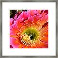 Absolutely Vibrant Framed Print