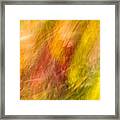 Abstract 10 Framed Print