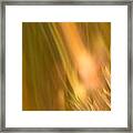 Abstract 13 Framed Print
