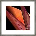 Abstract 455 Framed Print
