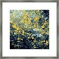 Abstract 8313061 Framed Print