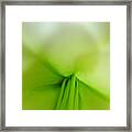 Abstract Forms In Nature Framed Print