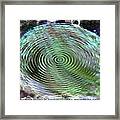 Abstract Green Polyp Coral Framed Print