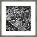 Abstract In B 'n' W 2 Framed Print