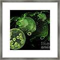 Abstract Pond Creatures Framed Print