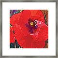 Abstract Poppy A Framed Print