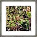 Abstracted Reflection Framed Print