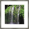 Abundance Flowing Framed Print