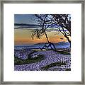 Adventures At Sunset Beach Framed Print