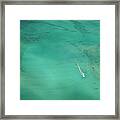 Aerial Of Turquoise Waters With Passing Framed Print