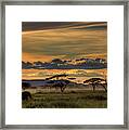 Africa Framed Print