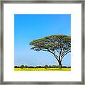 Africa Framed Print