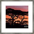 Classic Africa Sunrise Framed Print