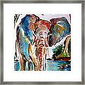 African Elephant Framed Print