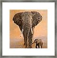 African Elephants Framed Print