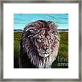 African Lion Framed Print