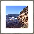 Afternoon At Point Lobos Framed Print