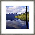 Afternoon Light Framed Print