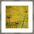 Agapanthus Green And Gold Framed Print