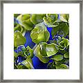 Ahhh Hydrangea Framed Print