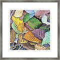 Alder Leaves And Faerie Framed Print