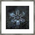 Snowflake Photo - Alioth Framed Print