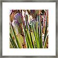 All Pointy And Sharp Framed Print