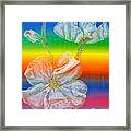 Almond Branch In The Spectrum Framed Print