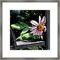 Alone Framed Print