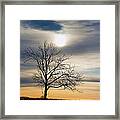 Alone Framed Print