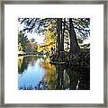 Along The Frio River Photo Framed Print