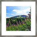 Alpine Landscape Framed Print