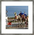 Alternative Transportation Framed Print