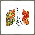 Alzheimer's Brain And Vitamin E Molecule Framed Print