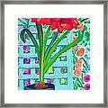 Amaryllis Framed Print